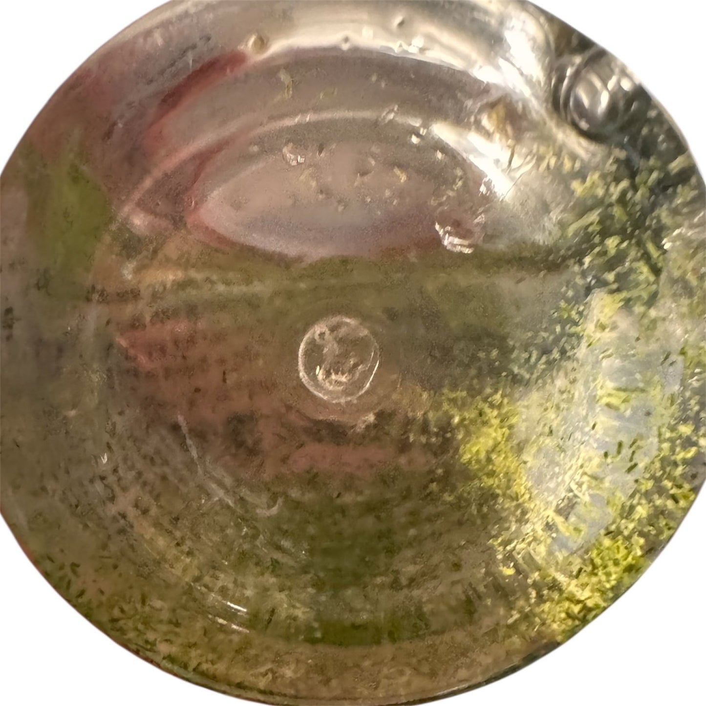 LSP Algae Boost Plus for Sea-Monkeys & Brine Shrimp Tanks Little Sea Pals