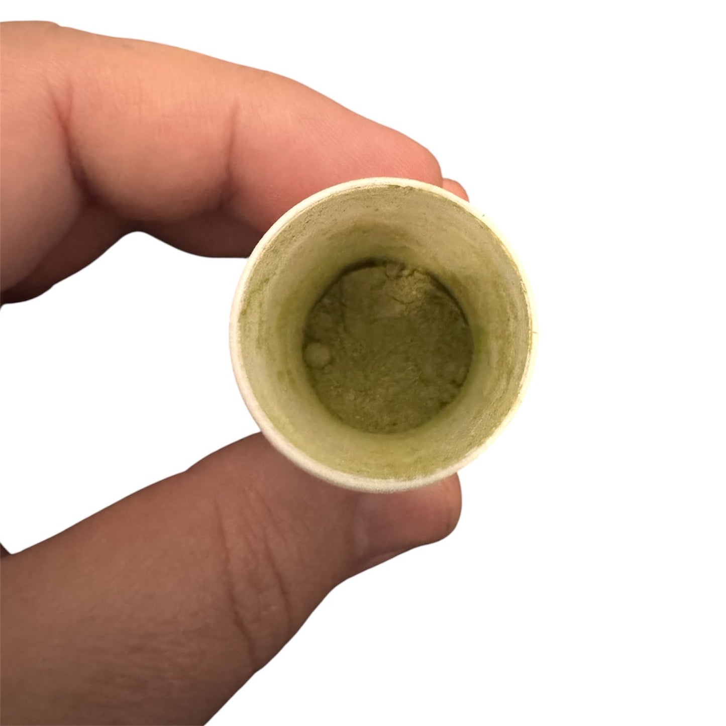 LSP Growth Food Freshness Container for Sea-Monkeys & Brine Shrimp Tanks Little Sea Pals