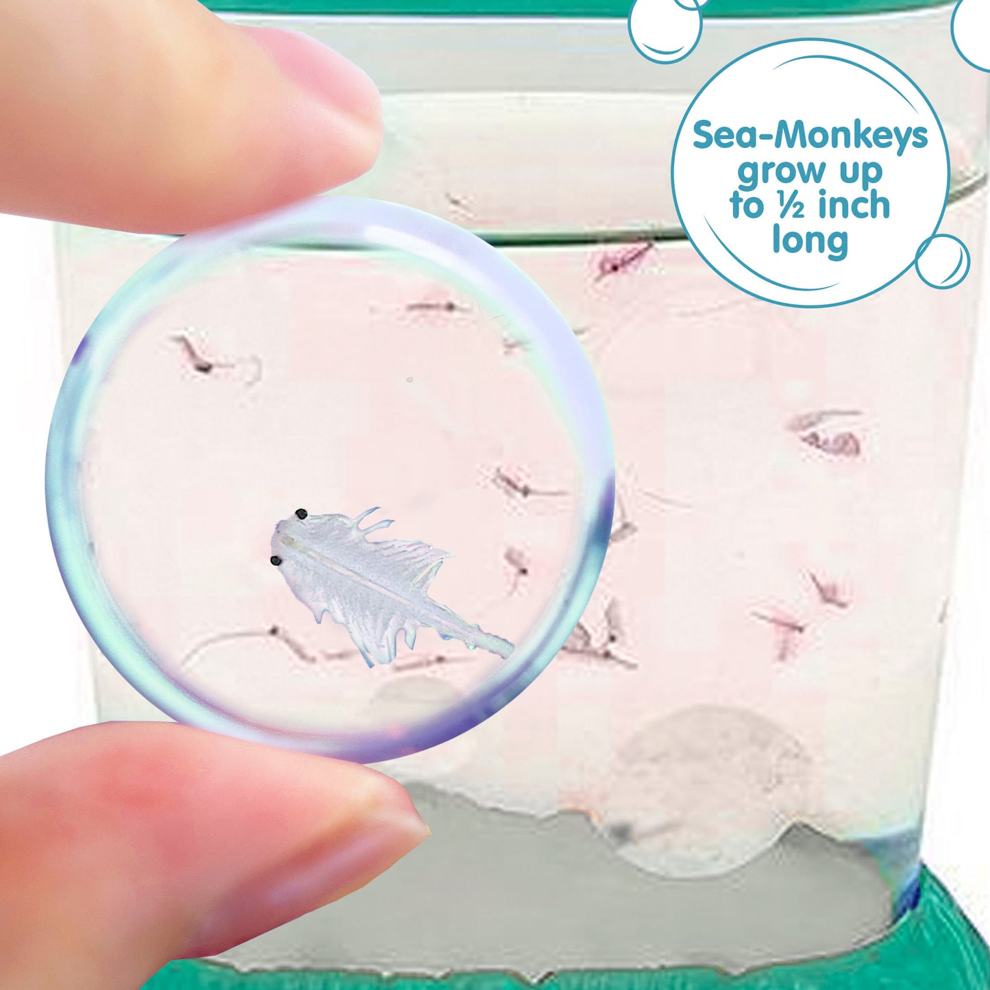 1-Gallon Sea-Monkey Pouch Package World's Only Instant Pet Toy - Ages 6+  Brine Shrimp Aquarium Kit