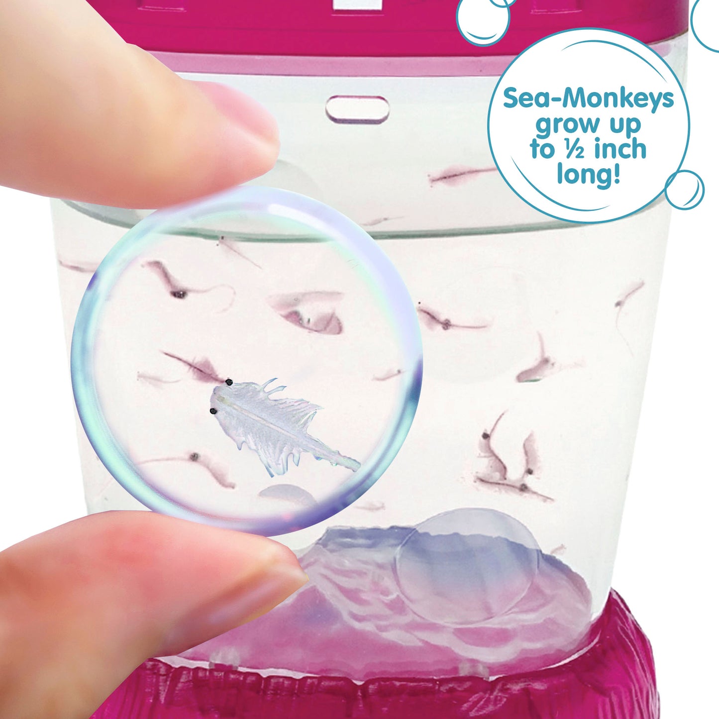 Sea-Monkeys® Ocean Zoo Neon - World's Only Instant Pets® - Assorted Colors - Brine Shrimp (Pack of 1)